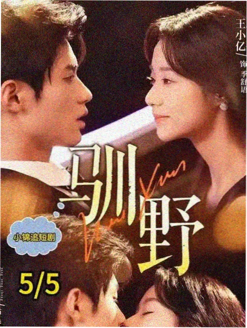 另类小说《雨夜出租车》封面